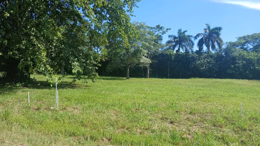  ¡ÚLTIMOS LOTES EN PEDASÍ! VENTA DIRECTA CON LOS PROPIETARIOS | 1,419 m² CON LUZ Y AGUA - Imagen 11