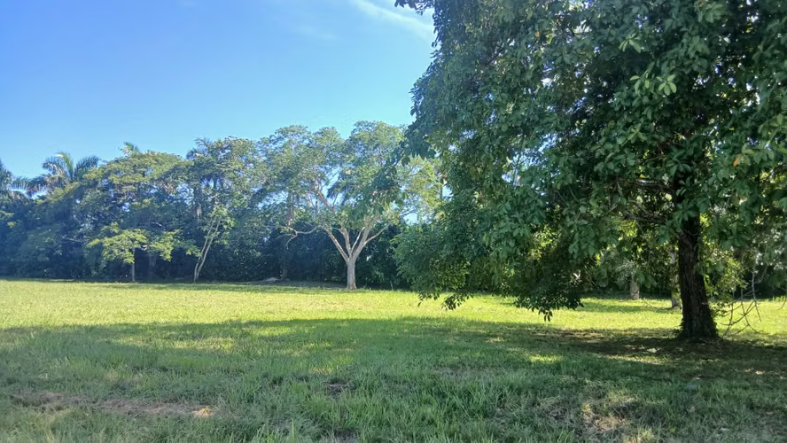  ¡ÚLTIMOS LOTES EN PEDASÍ! VENTA DIRECTA CON LOS PROPIETARIOS | 1,419 m² CON LUZ Y AGUA - Imagen 12