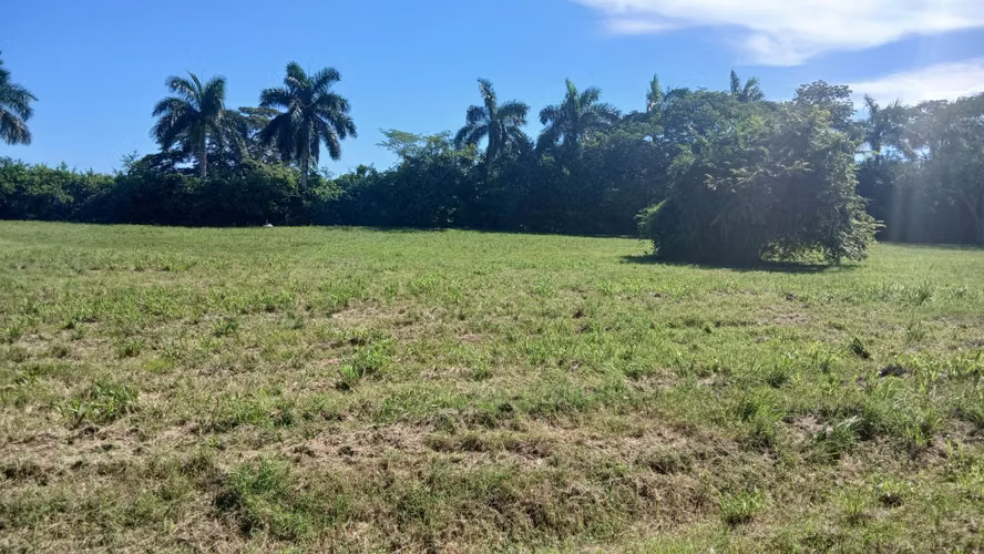  ¡ÚLTIMOS LOTES EN PEDASÍ! VENTA DIRECTA CON LOS PROPIETARIOS | 1,419 m² CON LUZ Y AGUA - Imagen 7