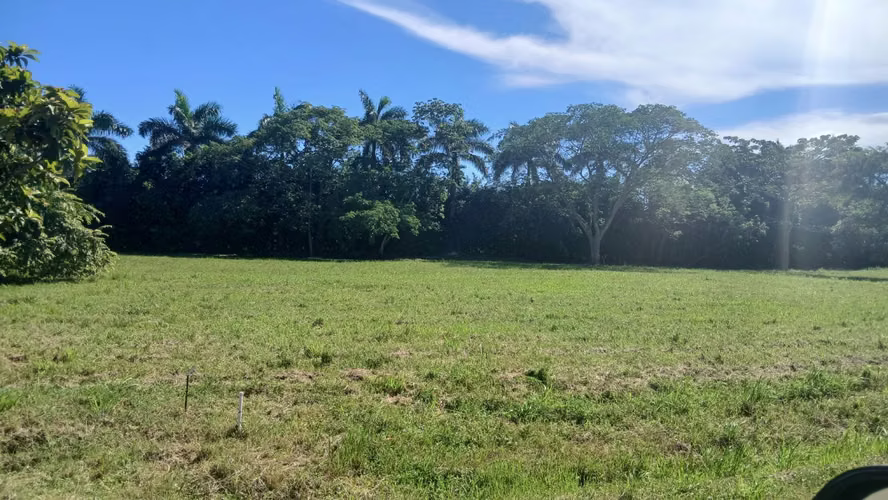  ¡ÚLTIMOS LOTES EN PEDASÍ! VENTA DIRECTA CON LOS PROPIETARIOS | 1,419 m² CON LUZ Y AGUA - Imagen 5