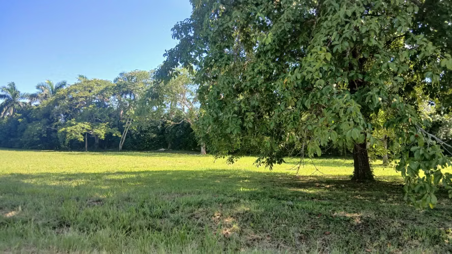  ¡ÚLTIMOS LOTES EN PEDASÍ! VENTA DIRECTA CON LOS PROPIETARIOS | 1,419 m² CON LUZ Y AGUA - Imagen 10