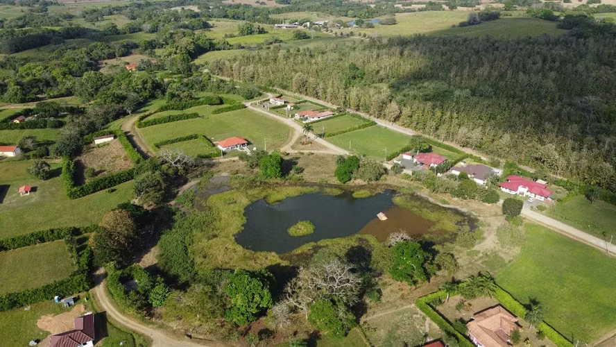  ¡ÚLTIMOS LOTES EN PEDASÍ! VENTA DIRECTA CON LOS PROPIETARIOS | 1,419 m² CON LUZ Y AGUA - Imagen 14