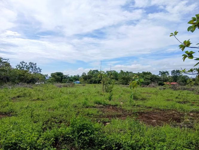 Vento Terreno en Chiriquí, Potrerillo, Las Acequias