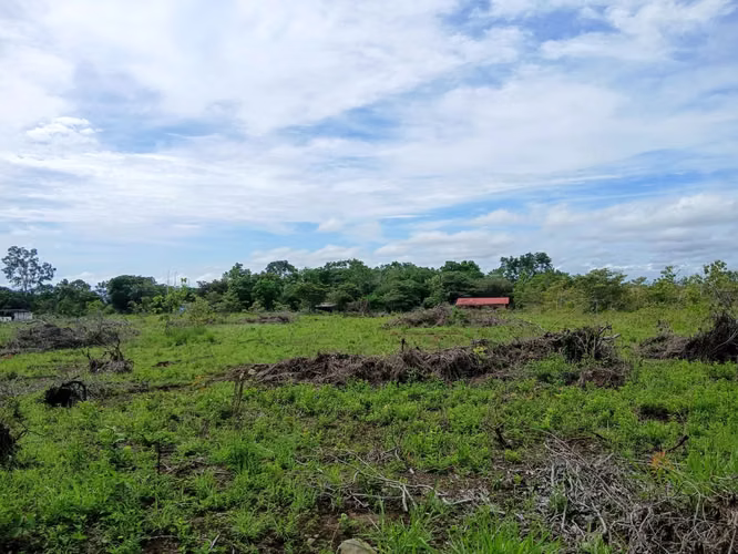 Vento Terreno en Chiriquí, Potrerillo, Las Acequias