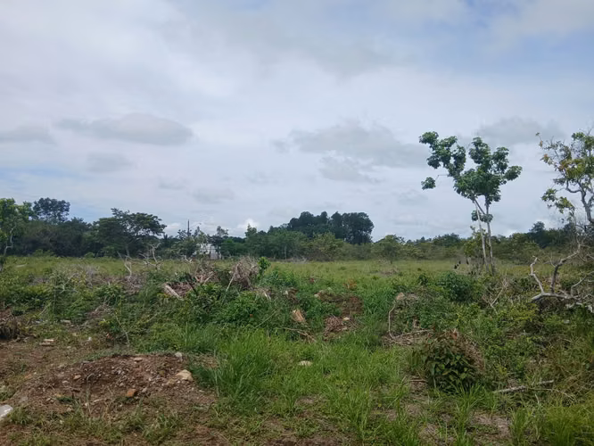Vento Terreno en Chiriquí, Potrerillo, Las Acequias