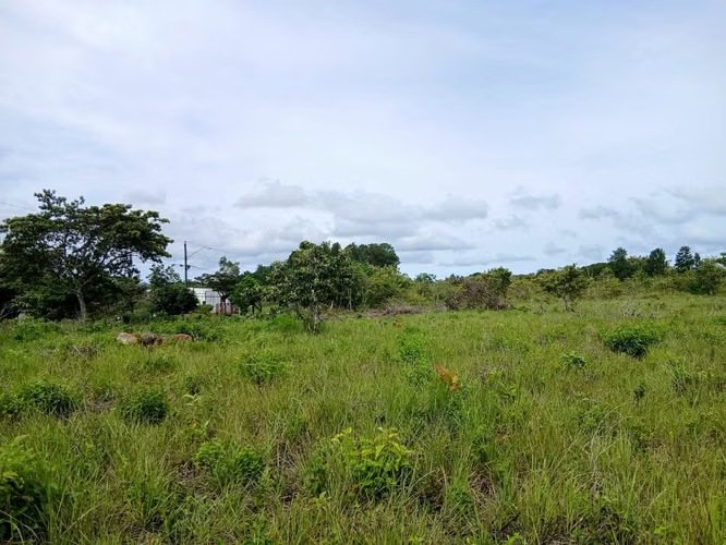 Vento Terreno en Chiriquí, Potrerillo, Las Acequias