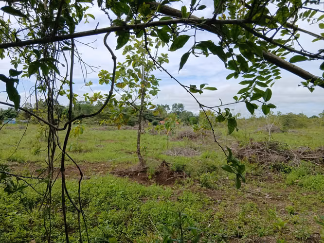 Vento Terreno en Chiriquí, Potrerillo, Las Acequias