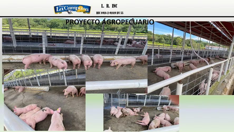 Finca La Campana is sold in Colón metrato of 35,247 m ²
