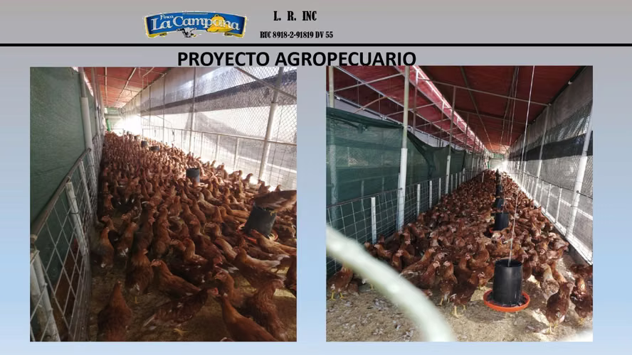 Se vende Finca Agropecuaria en Colón, metraje de 35,247 m² - Imagen 5