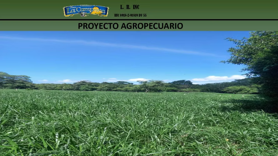 Se vende Finca Agropecuaria en Colón, metraje de 35,247 m² - Imagen 8