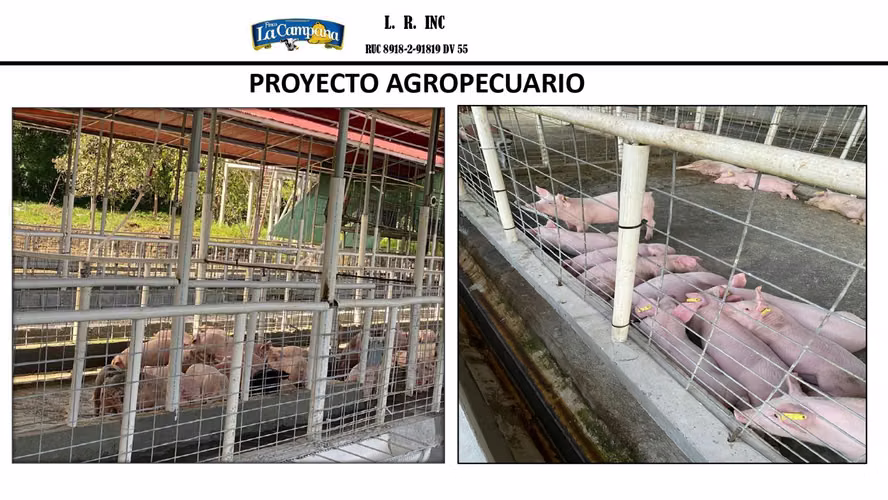 Se vende Finca Agropecuaria en Colón, metraje de 35,247 m² - Imagen 2
