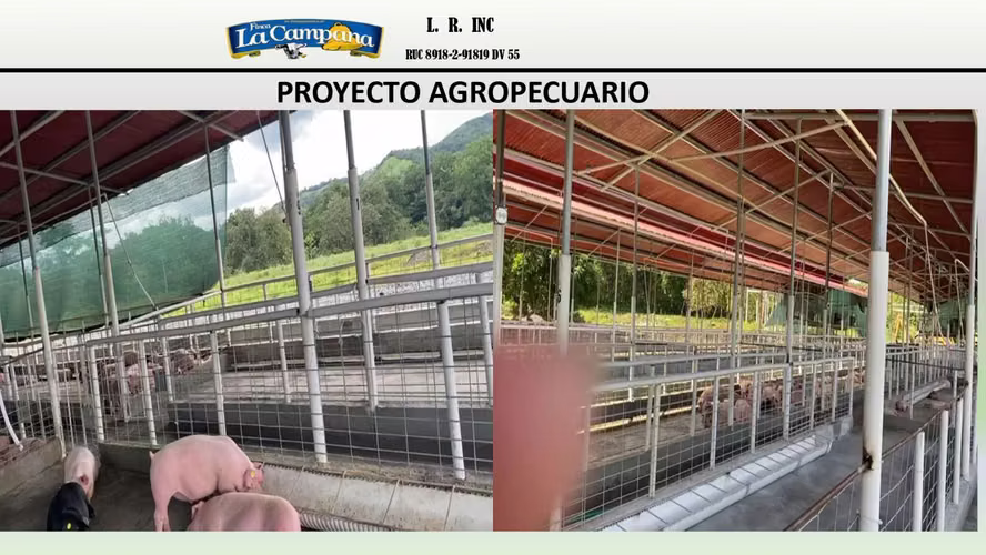 Se vende Finca Agropecuaria en Colón, metraje de 35,247 m² - Imagen 3
