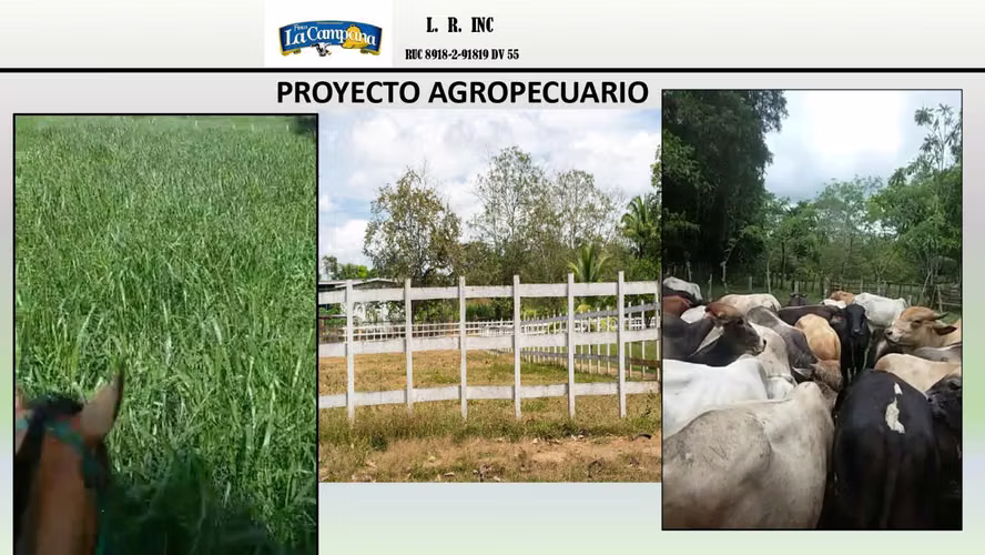 Se vende Finca Agropecuaria en Colón, metraje de 35,247 m² - Imagen 7