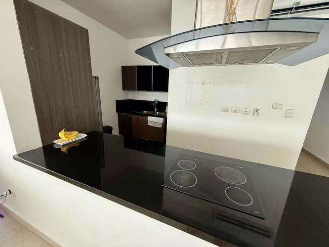 Alquiler de apartamento en Avenida Balboa con vista al mar  - Imagen 4