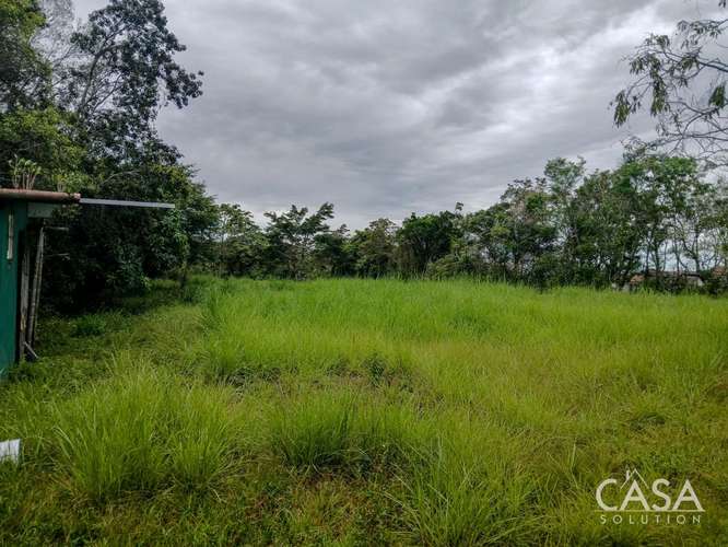 Amplio Terreno Plano de 9,229 m² en Venta en Alto Boquete, Panamá – cs id: 346960 - Imagen 5
