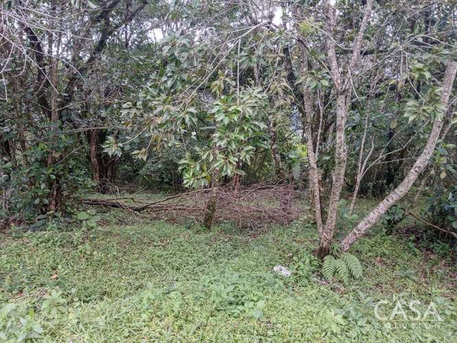 Amplio Terreno Plano de 9,229 m² en Venta en Alto Boquete, Panamá – cs id: 346960 - Imagen 8