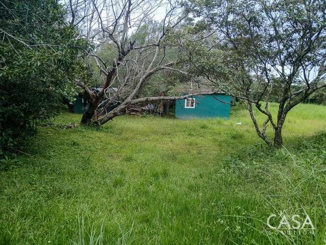 Amplio Terreno Plano de 9,229 m² en Venta en Alto Boquete, Panamá – cs id: 346960 - Imagen 10