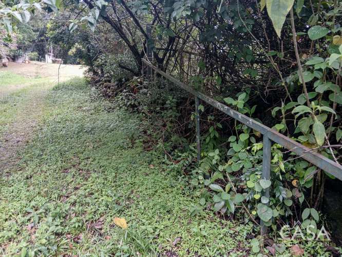 Amplio Terreno Plano de 9,229 m² en Venta en Alto Boquete, Panamá – cs id: 346960 - Imagen 17