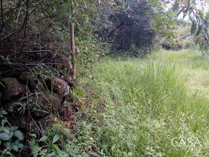 Amplio Terreno Plano de 9,229 m² en Venta en Alto Boquete, Panamá – cs id: 346960 - Imagen 18