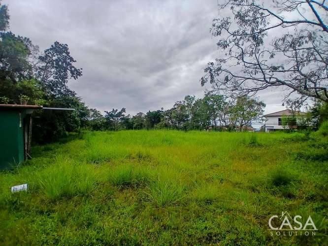 Spacious 9,229 m ² Flat Lot for Sale in Alto Boquete, Panama - cs id: 346960