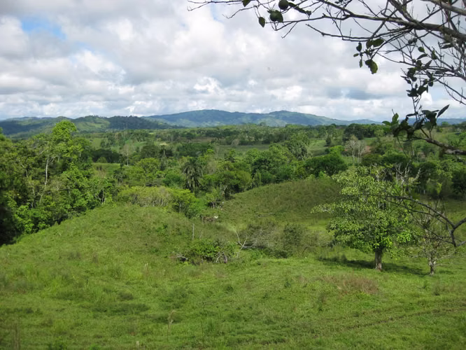 Titled lot 4.1 Ha with rolling hills - Lote titulado de 4,1 hectáreas con colinas onduladas. - Imagen 4