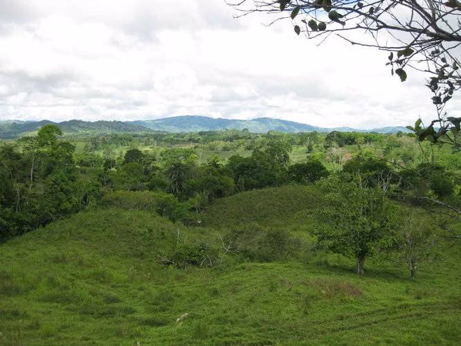 Titled lot 4.1 Ha with rolling hills - Lote titulado de 4,1 hectáreas con colinas onduladas. - Imagen 5