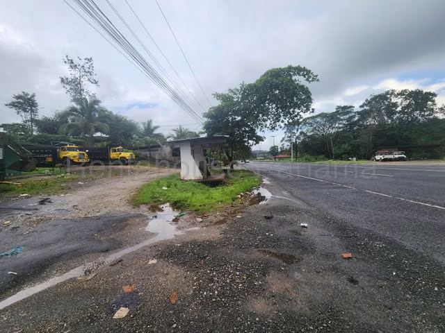 Vendo Terreno titulado en Rio Gatun, Colón, Titulado y a orilla de calle 25GC8272  - Imagen 7