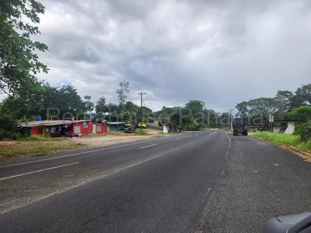 Vendo Terreno titulado en Rio Gatun, Colón, Titulado y a orilla de calle 25GC8272  - Imagen 2
