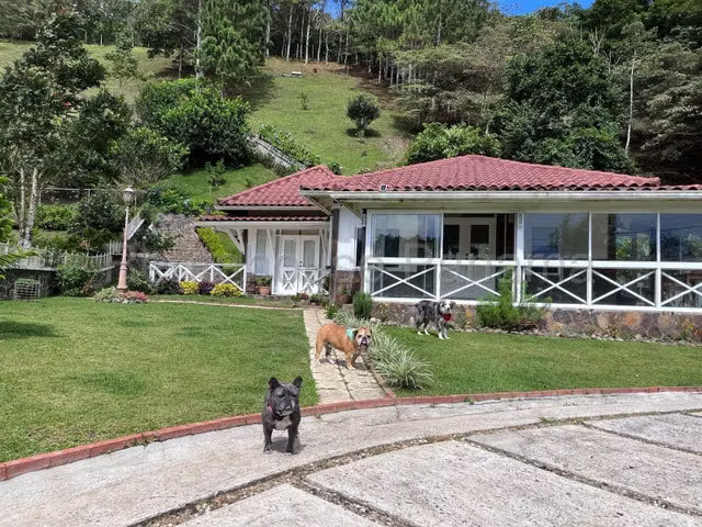 J2722GRR Venta de Apartamento en Sora  - Imagen 4