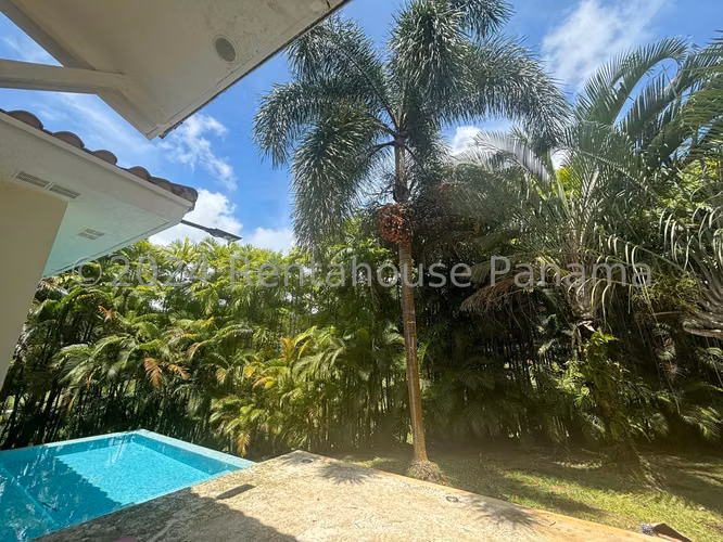 Alquiler de Casa en Cocoli Tucan Country Club NS - Imagen 12