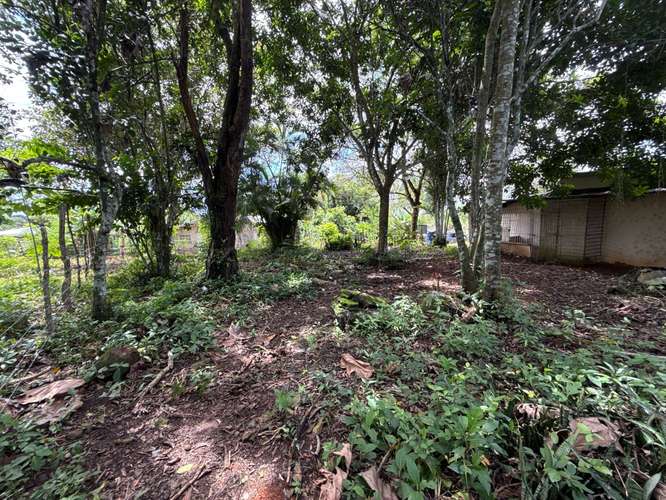 Desde $30,000: 2 lotes titulados con luz y agua en Aserrío de Gariché, Bugaba – cerca de Paso Canoas
