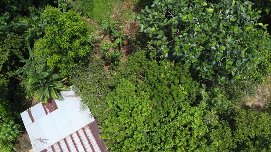 Desde $30,000: 2 lotes titulados con luz y agua en Aserrío de Gariché, Bugaba – cerca de Paso Canoas