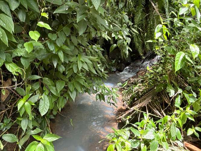 Desde $30,000: 2 lotes titulados con luz y agua en Aserrío de Gariché, Bugaba – cerca de Paso Canoas