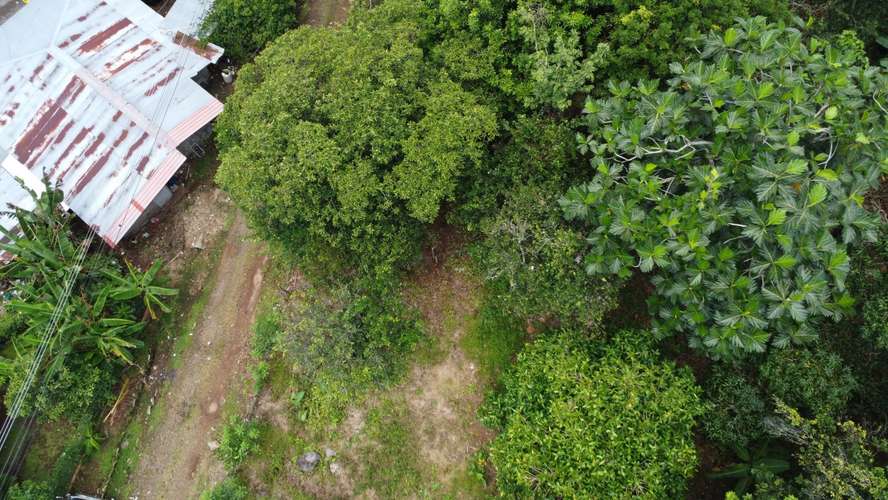Desde $30,000: 2 lotes titulados con luz y agua en Aserrío de Gariché, Bugaba – cerca de Paso Canoas