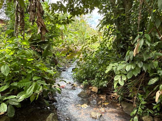 Desde $30,000: 2 lotes titulados con luz y agua en Aserrío de Gariché, Bugaba – cerca de Paso Canoas