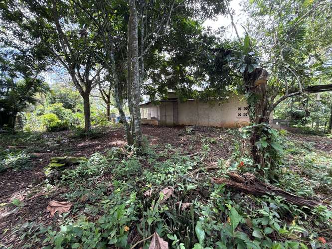 Desde $30,000: 2 lotes titulados con luz y agua en Aserrío de Gariché, Bugaba – cerca de Paso Canoas
