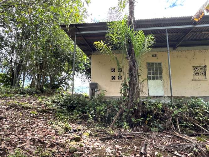 Desde $30,000: 2 lotes titulados con luz y agua en Aserrío de Gariché, Bugaba – cerca de Paso Canoas