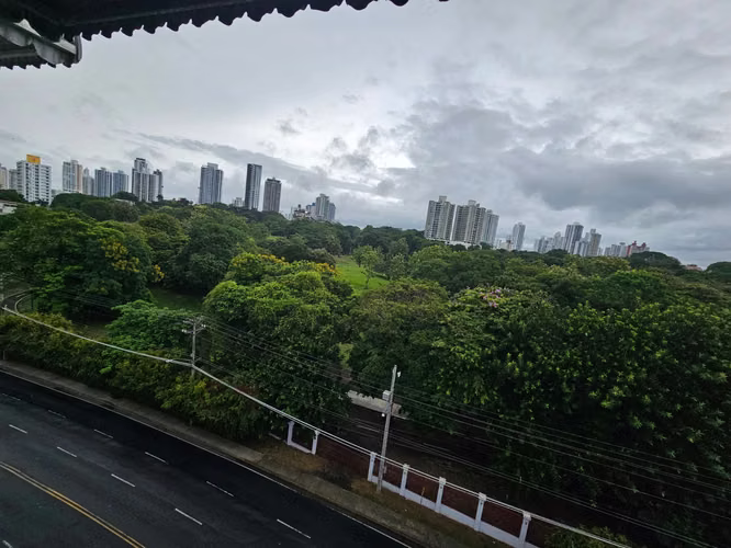 Frente al Parque Omar con impresionantes vistas a las copas de los árboles - Imagen 19