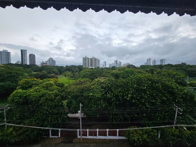 Frente al Parque Omar con impresionantes vistas a las copas de los árboles - Imagen 17