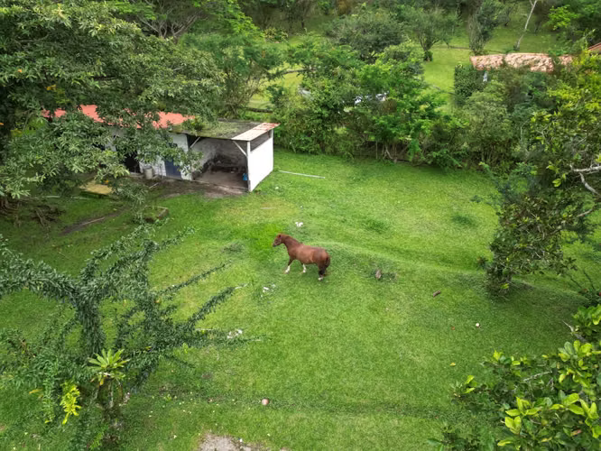 Venta de Casa en El Valle de Antón, 9,300m2 de terreno y 450m2 de construcción - Imagen 8