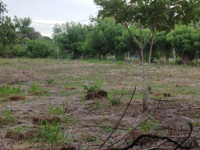 SE VENDE TERRENO DE 4,693 m² EN ANTÓN, COCLÉ - Imagen 5