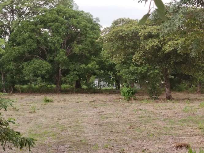 SE VENDE TERRENO DE 4,693 m² EN ANTÓN, COCLÉ - Imagen 3