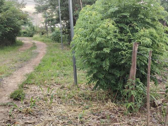 SE VENDE TERRENO DE 4,693 m² EN ANTÓN, COCLÉ - Imagen 4