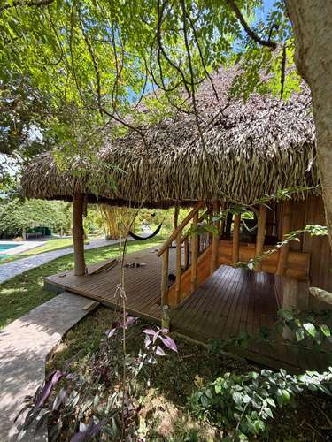 Finca en Venta – $530,000 | Alto Potencial  - Imagen 4
