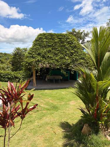 Finca en Venta – $530,000 | Alto Potencial  - Imagen 5