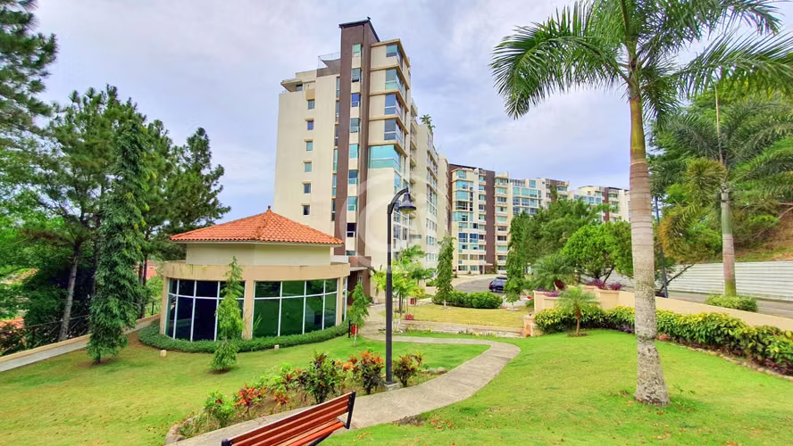 Venta Apartamento Pine Hill Albrook Remate - Imagen 19