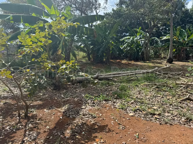 VENTA DE TERRENO EN CHORRERA DDB26-4487 - Imagen 7