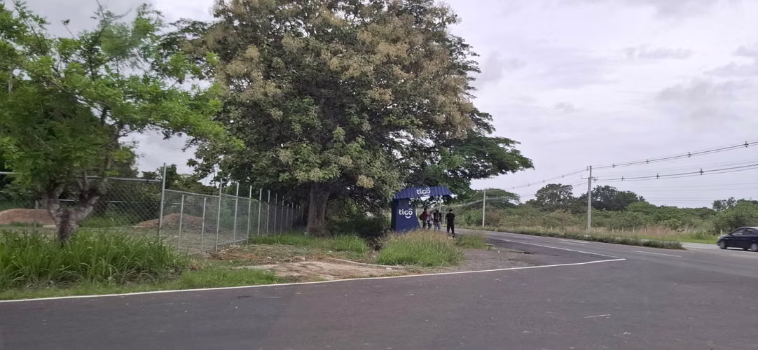 ALQUILER LOTE DE TERRENO VIA PANAMERICANA COCLE 26ML8705 - Imagen 10