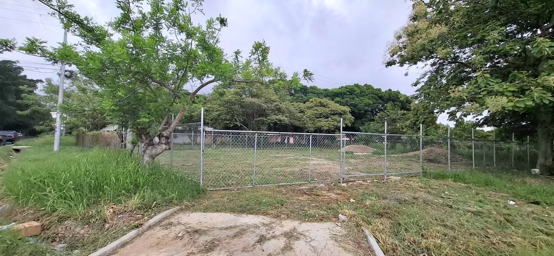 ALQUILER LOTE DE TERRENO VIA PANAMERICANA COCLE 26ML8705 - Imagen 4