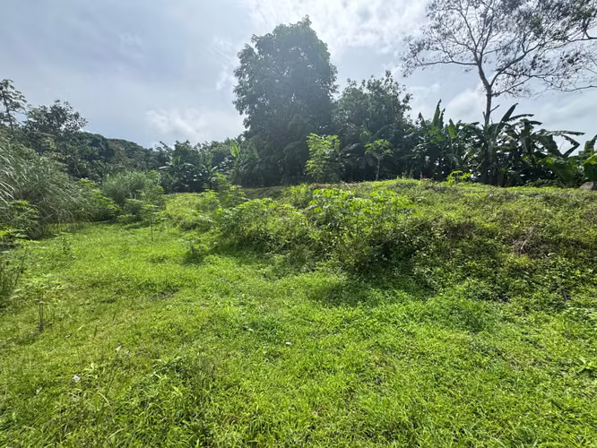 VENTA DE TERRENO EN CHILIBRE CENTRO MCD25-3082